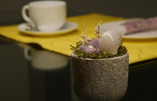 Apartment Haltern - Foto 6