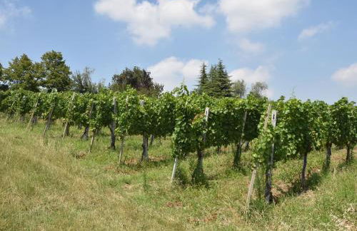 Holiday Home La Corte Bricca - Trilo Torretta by Interhome - Foto 26