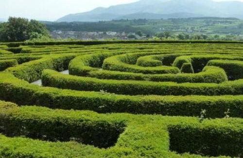 Pebble Creek Apartment - Foto 43