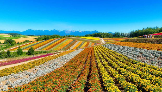 Será uma excursão repleta de belezas naturais!