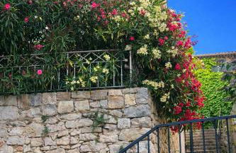 Gîte Le Figuier de Saint Ce Jardinet Terrasse Vue - Foto 30