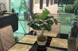 House with four suites with pool and garage - Foto 37