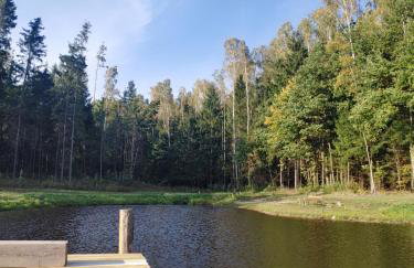 Leśny Reset - Foto 27