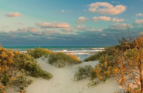 Newly Built Stylish Retreat with Designer Kitchen - Near Park & Beach - Foto 5