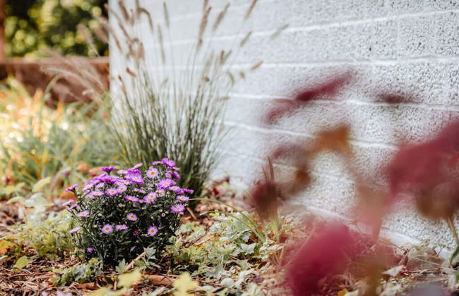 Granetal.quartier-apartment Harzidylle - Foto 20