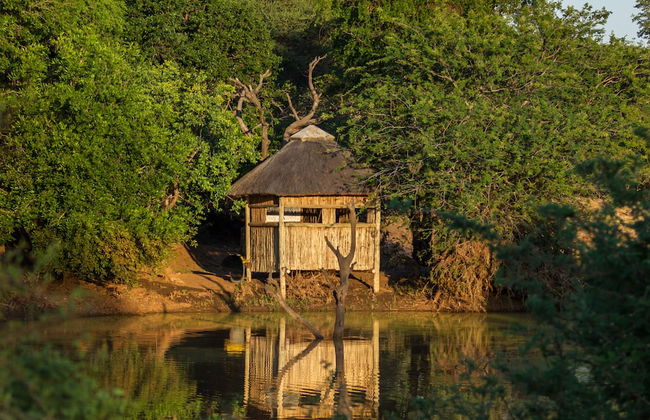 The Dreamcatcher Lodge - Photo 25