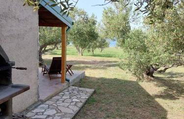 Robinson house Sea & olives - Photo 2