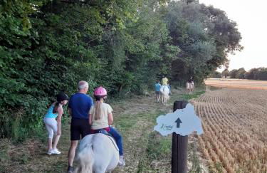 Landhof Kützin Ferienhaus Spatz 1 - Foto 10