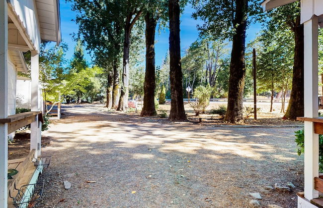 Rouge Cobb Mountain Cabins - Photo 45