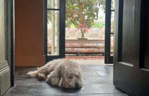 Llanerchydol Hall Suites - Foto 23