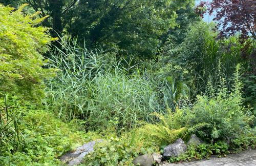 Mojos Bodenseetraum - Photo 25