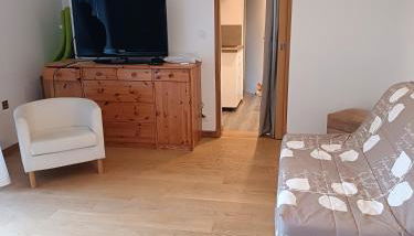 Les hortensias - Photo 4