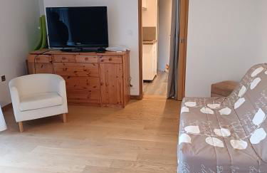 Les hortensias - Photo 4