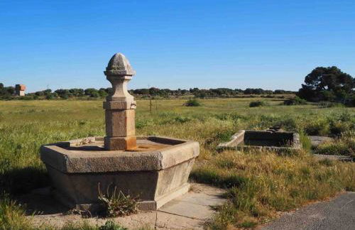 Casa Rural El Guindo - Foto 4