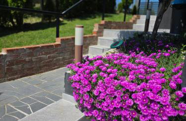 The Dream house - Foto 17