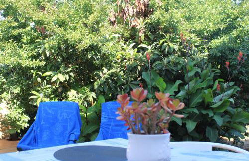 CASA dos AVÓS - Foto 13