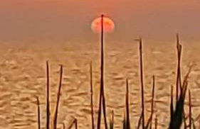 Appartamento a 80m dal mare Salento Puglia - Foto 37