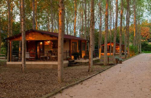 Family Farm Soc. Agr. a r.l. - Foto 35