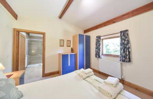 Amber Cabin - Foto 9