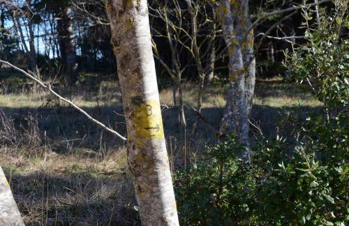 Le ginestre - Foto 23