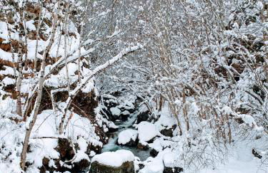 ZAGALA LA MAISON DE LA MONTAGNE - Foto 41