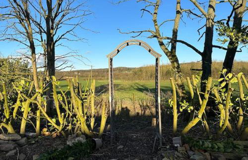 Lovely country cottage in Dalton / Parbold - Foto 50