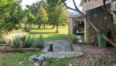 El Ventador de la Torra - Foto 2