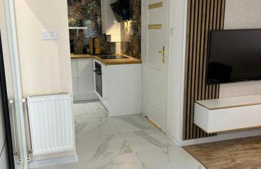 Apartament Gold - Góry Sowie - Głuszyca - Foto 16