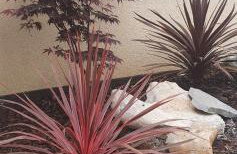 Villa Thalia - Foto 42