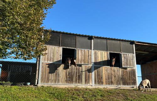 Tawerna Pod Kotwicą pokoje i domy wakacyjne - Foto 25