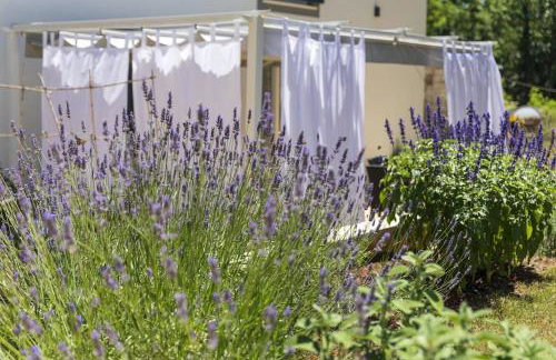 Luxury Villa Četiri Hrasta - Foto 17