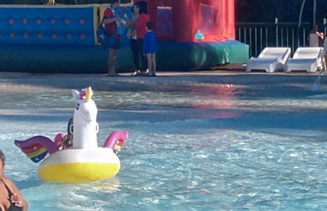 Piazza Diroma Flats Para Temporada - Foto 48