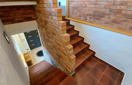 Orle Gniazdo - Foto 72