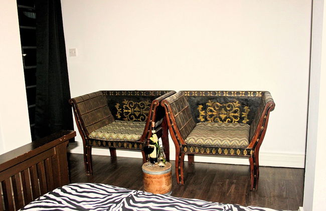 Maltese Maltese - Foto 34