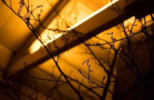 Saunowisko w Krągu - Straszydło - Photo 46