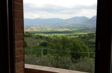 Collina del Sagrantino - Foto 27