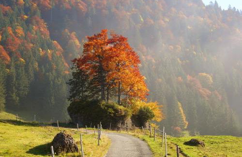 Top! Wohnung direkt am Fuß der Berge im Oberallgäu - Foto 26