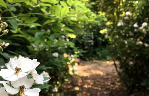 Fantastic A-Frame Cabin for a Couples' Getaway near Robesonia, Pennsylvania - Foto 21