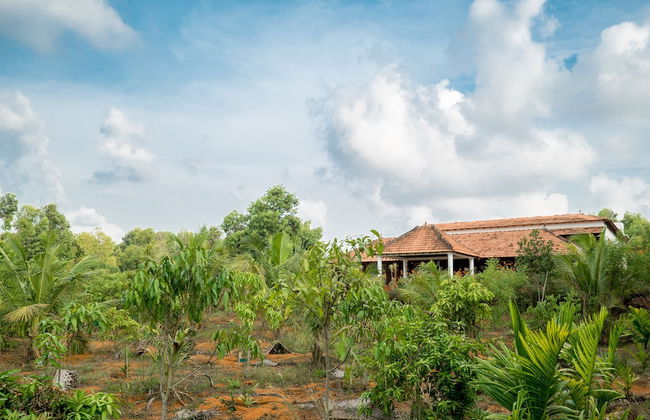 Balkatmane Homestay- A Wandertrails Stay - Photo 25