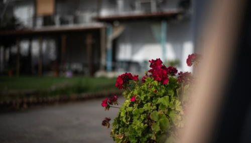 Marilena Apartments Anastasiou - Foto 2