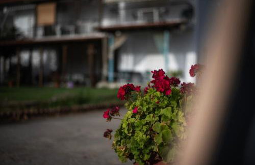 Marilena Apartments Anastasiou - Foto 2