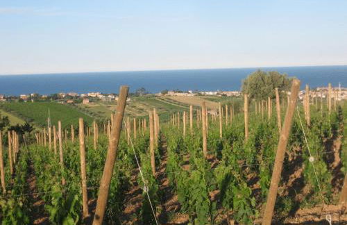 L'Orso e L'Ape B&B - Foto 40