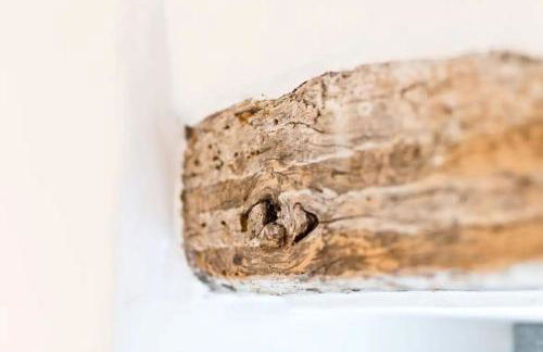 Sweet Pea Cottage - Photo 20