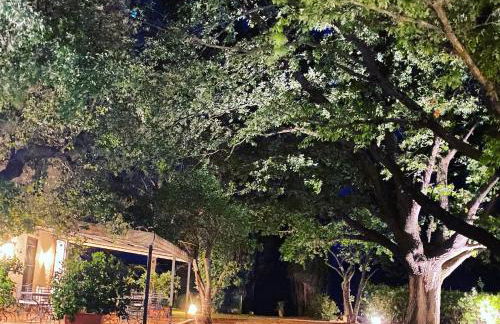 Ghiaccio Bosco - Foto 32