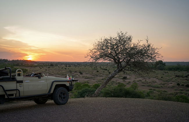 Euphorbia Mashatu - Foto 39