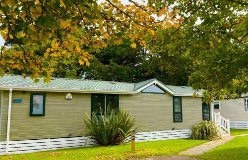 Jungle lodge - Photo 1