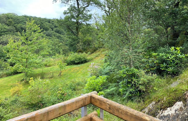 Plas Penaeldroch Manor - Foto 41