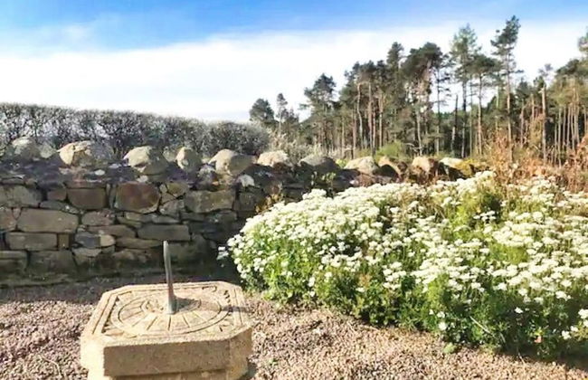 Accessible Bungalow - 4 Beds 2 Baths -dog Friendly - Foto 39