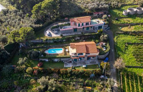 Perla sul mare con piscina - Foto 35