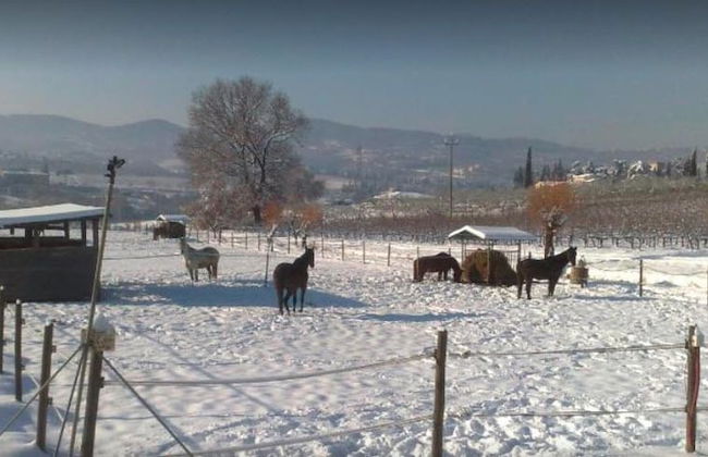 La Capannaccia - Foto 34